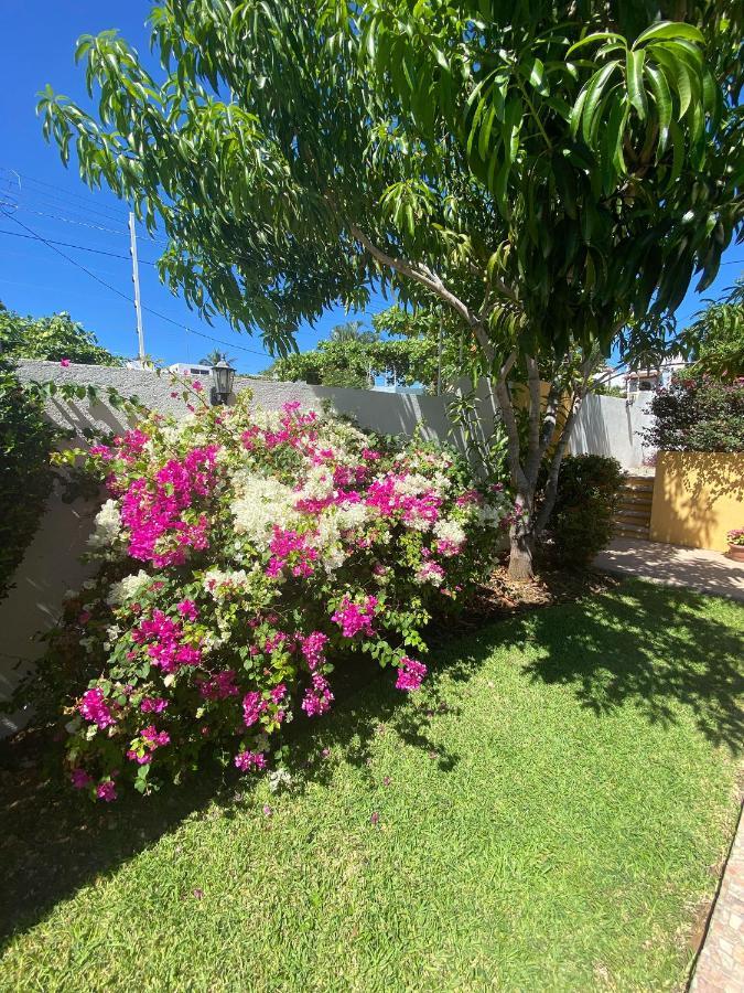 Zandoyo Bed & Breakfast Puerto Escondido  Dış mekan fotoğraf
