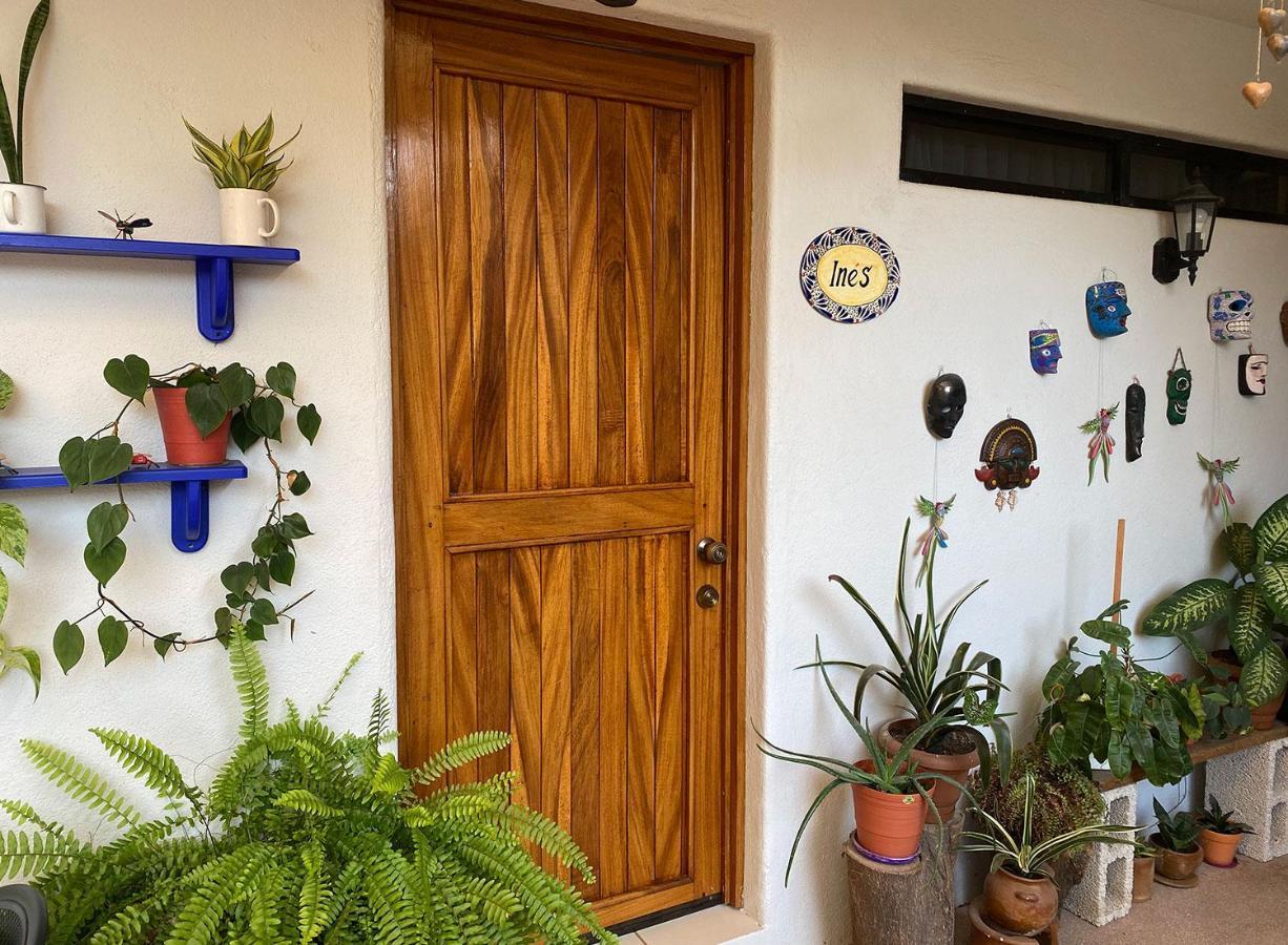 Zandoyo Bed & Breakfast Puerto Escondido  Dış mekan fotoğraf