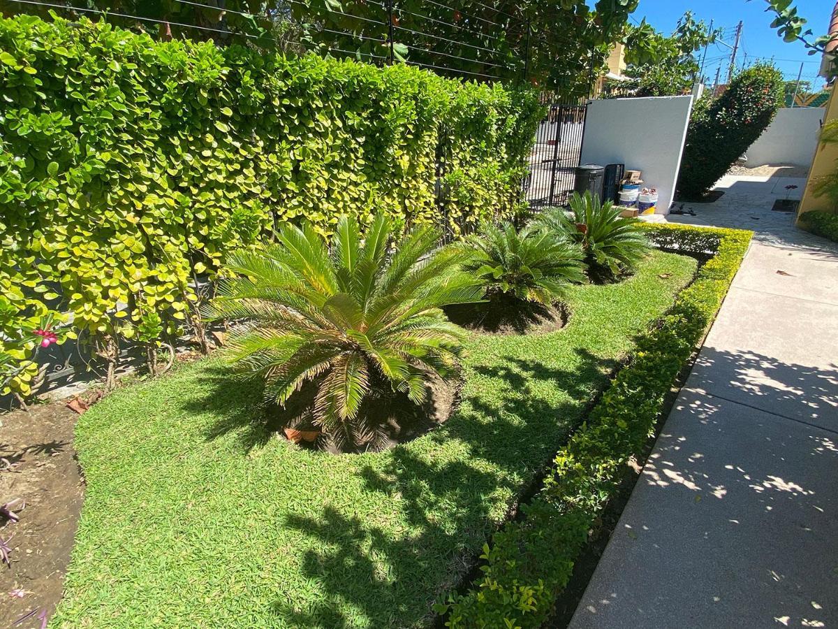 Zandoyo Bed & Breakfast Puerto Escondido  Dış mekan fotoğraf